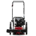 Toro 22 in. (56 cm) 163cc Briggs and Stratton String Mower (58620)