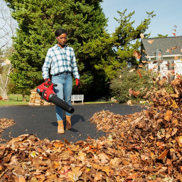 Toro 60V MAX* 157 mph Brushless Leaf Blower with 4.0Ah Battery (51822)