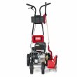 Toro Toro 79 cc Gas Walk Behind Edger (58610)