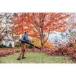 STIHL BR 800 C-E MAGNUM®