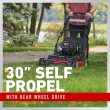 Toro 30 in. (76cm) TimeMaster® w/Personal Pace® Gas Lawn Mower (21220)