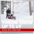 Toro 30 in. (76 cm) Power Max HD 1030 OHAE Two-Stage Gas Snow Blower (38830)