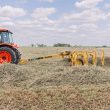 Vermeer VRC820 Carted Wheel Rake